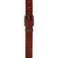 Preview: Wrangler Herren Leder Gürtel - Metal Loop - Cognac